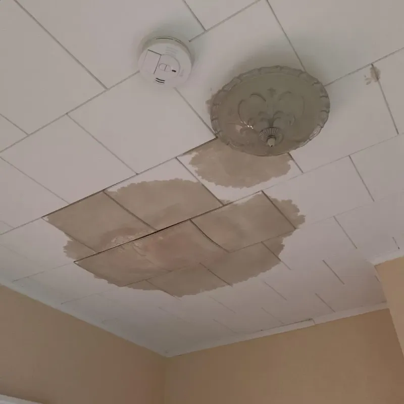 Ceiling Water Damage Repair in Mott, ND
