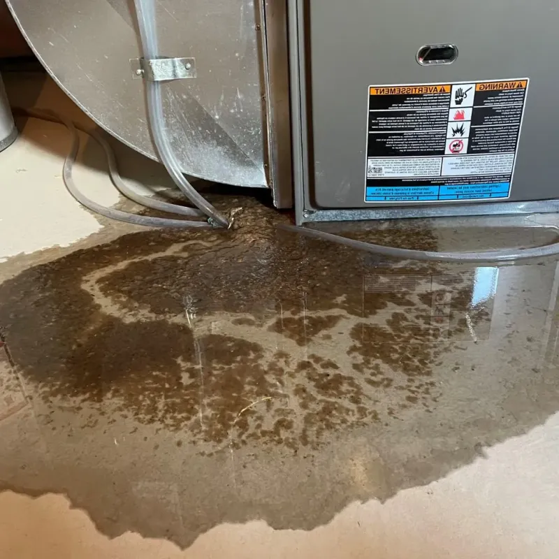 Pipe Burst and Leak Restoration in Mott, ND