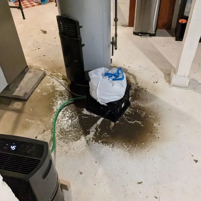 Sewage Backup Cleanup Service in Mott, ND